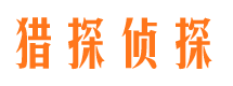 临武侦探公司